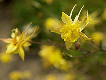 坤哥：《索尼克×夏特 世代重启》将于10月25日发售 售价50美元